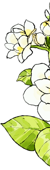 一个支部