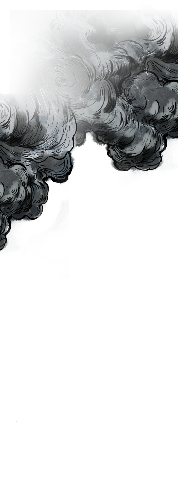 朱瑾花