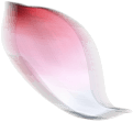花瓣
